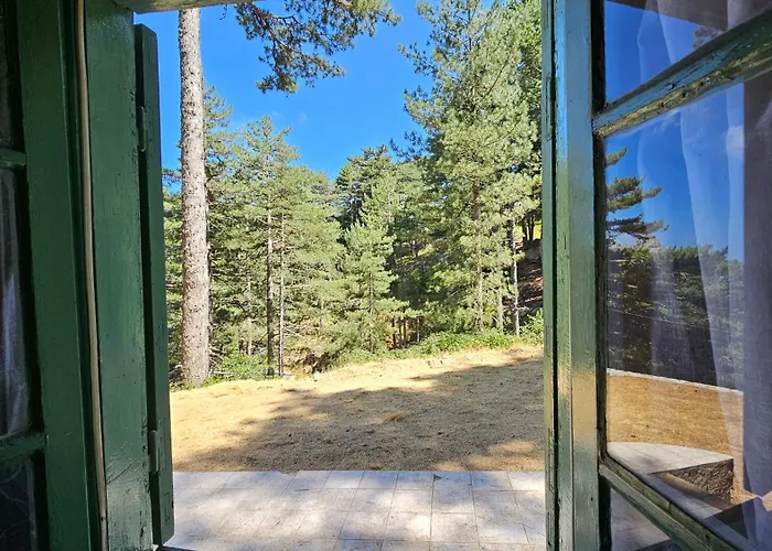 Chalet Bavedda- Acces Chemins De Randonnee- Calme - Montagne