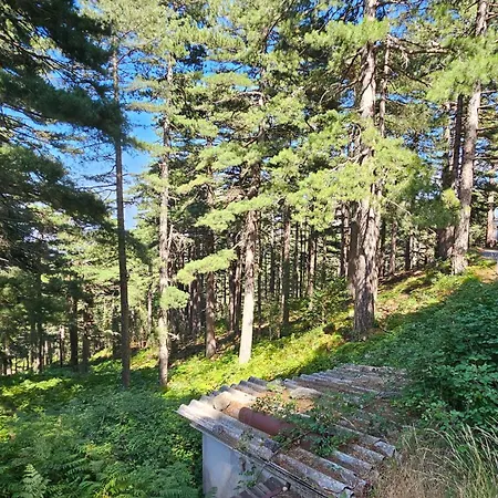 Bavedda- Accès Chemins De Randonnée- Calme - Montagne *