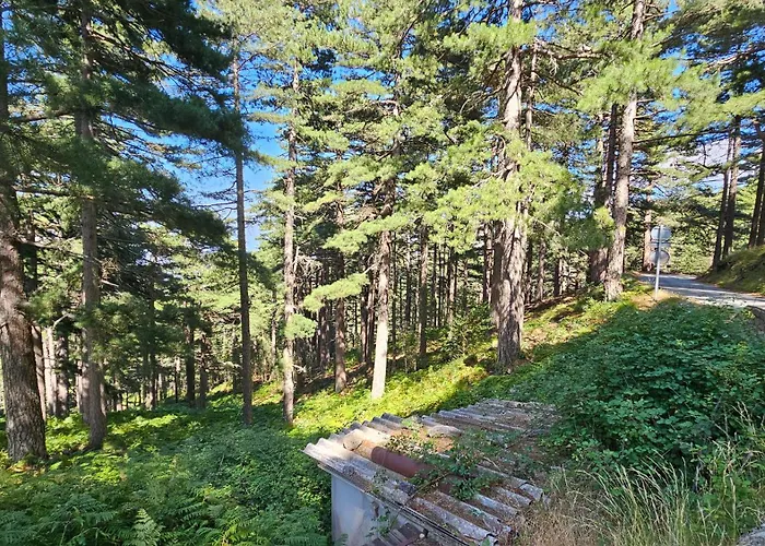 Bavedda- Acces Chemins De Randonnee- Calme - Montagne *